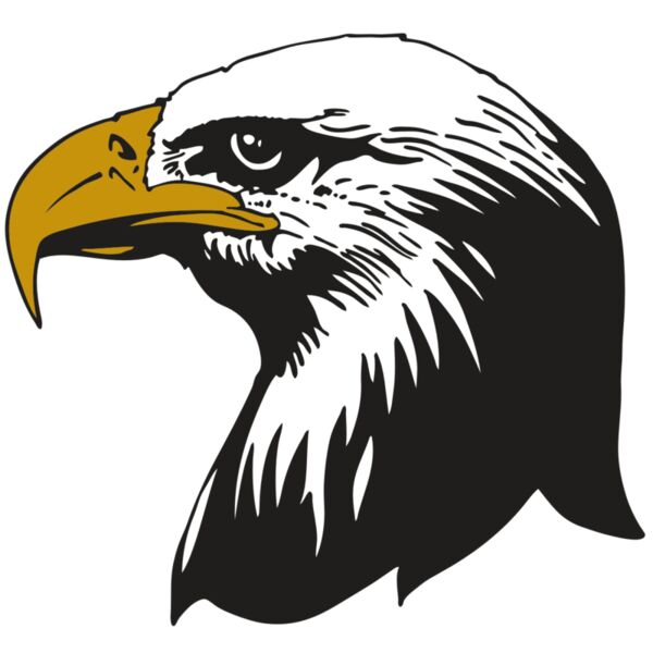 AR EAGLE 87 RC Thumbnail